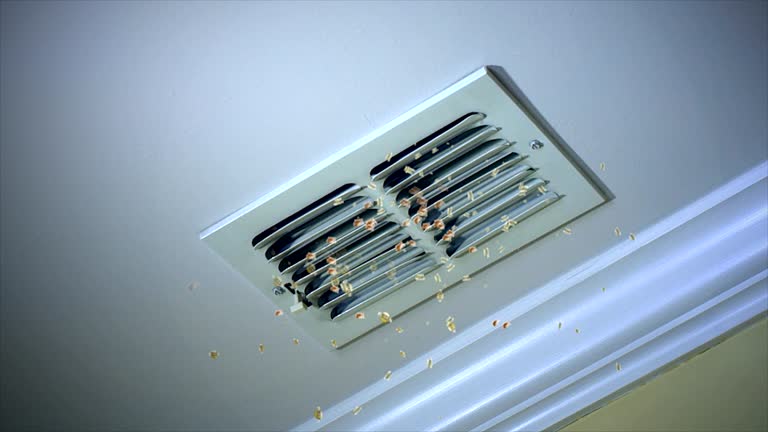 Home Air Vent Cleaning in GA
