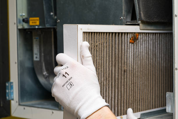 Best Affordable Duct Cleaning Services  in Wrens, GA