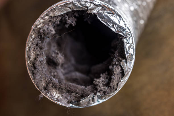 Best Duct Cleaning for Homes  in Wrens, GA