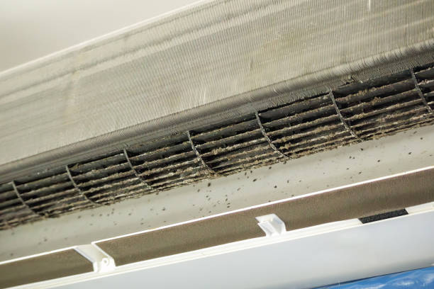 Best Affordable Air Duct Cleaning  in Wrens, GA